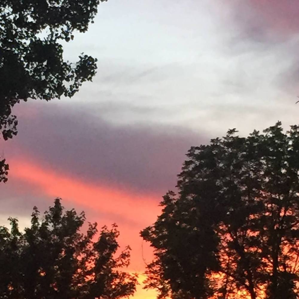 Meet your Posher, Joy